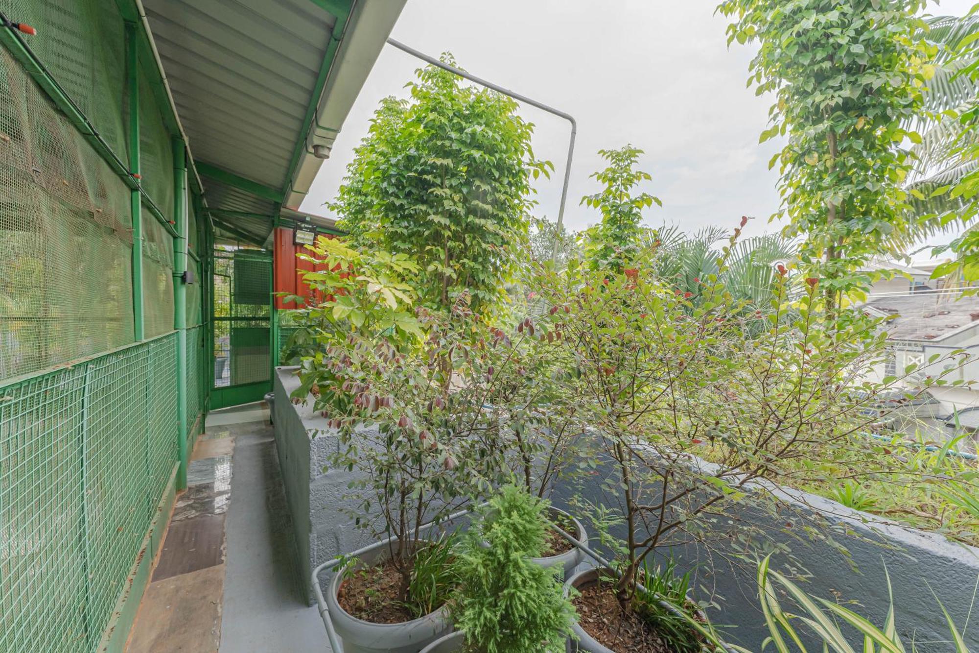 Udupi Homestay Garden Villa מראה חיצוני תמונה